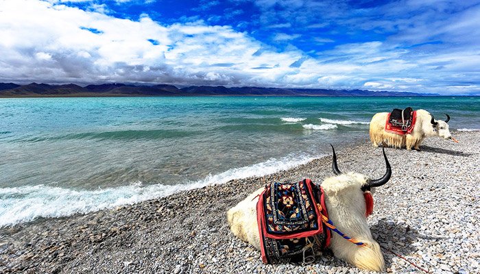 Planning Your Tibet Tour: Duration And Itinerary Insights Packing For Your Tibet Cycling Tour: A Comprehensive Guide 1