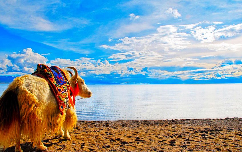 Kathmandu To Lhasa: Discovering The Roof Of The World 2