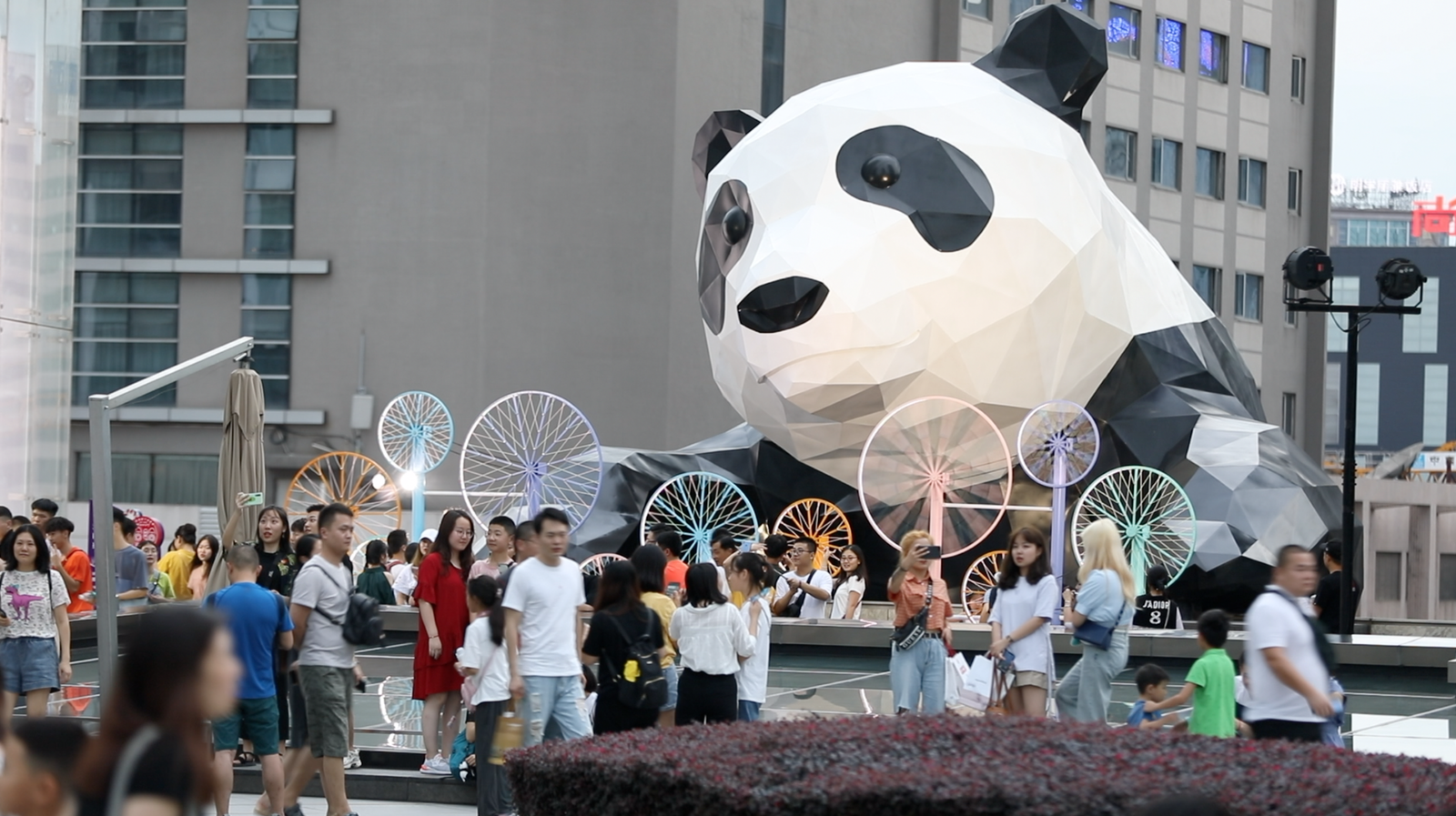 Panda City To Holy City: Chengdu To Lhasa 3