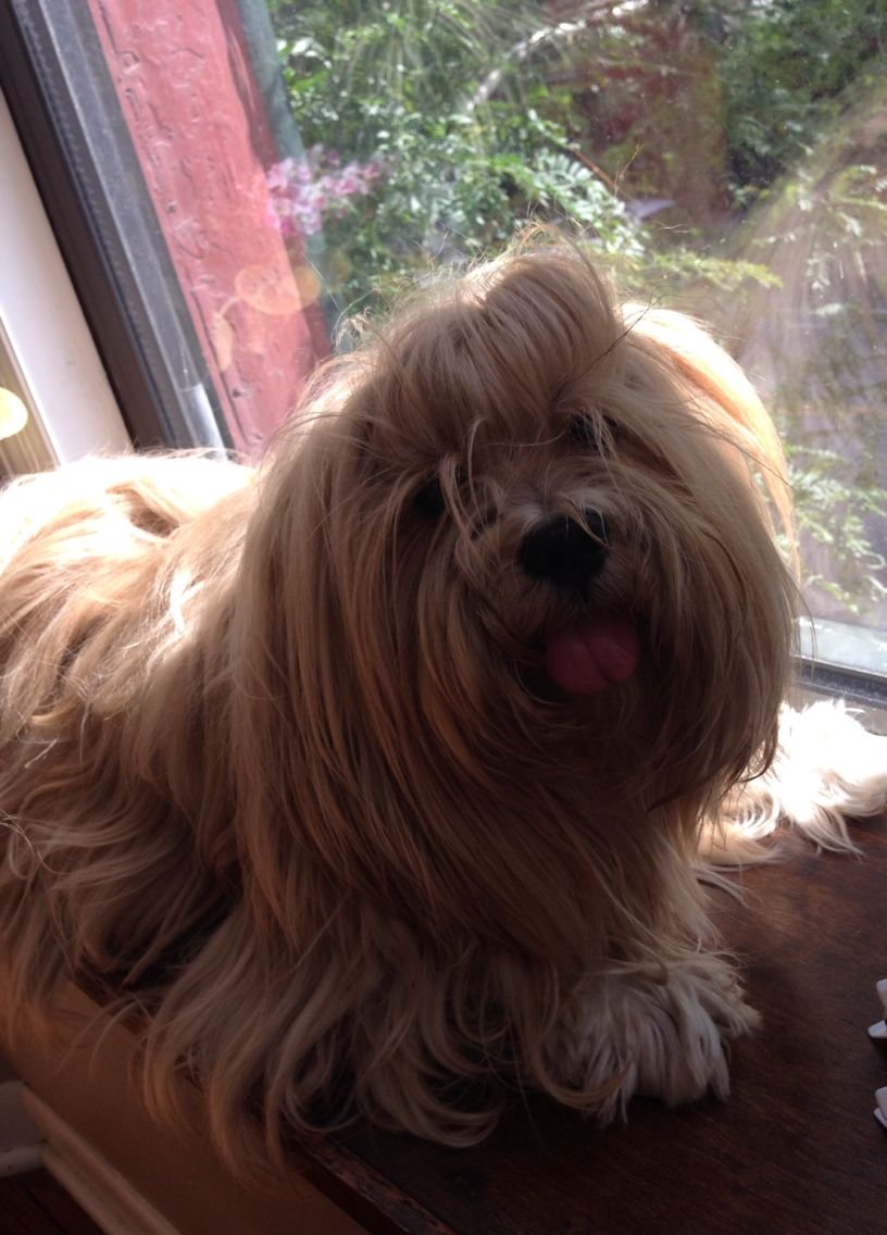 Measuring The Miles: From Lhasa To The Tranquil Yamdrok Lake 6