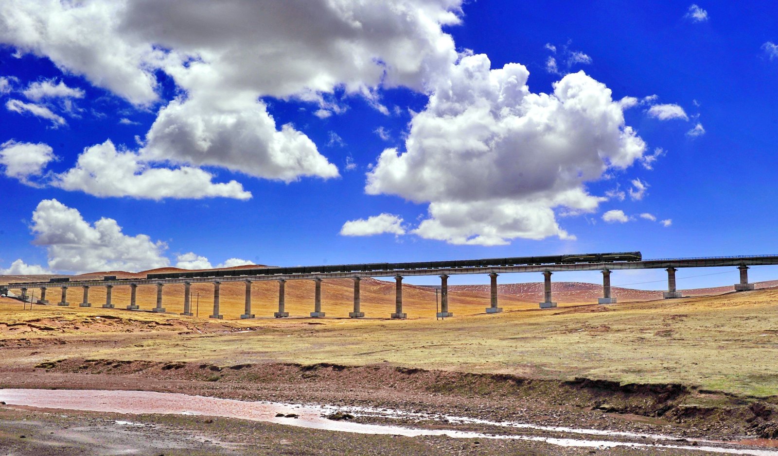 All Aboard The Tibet Train Tour: A Journey Like No Other 3